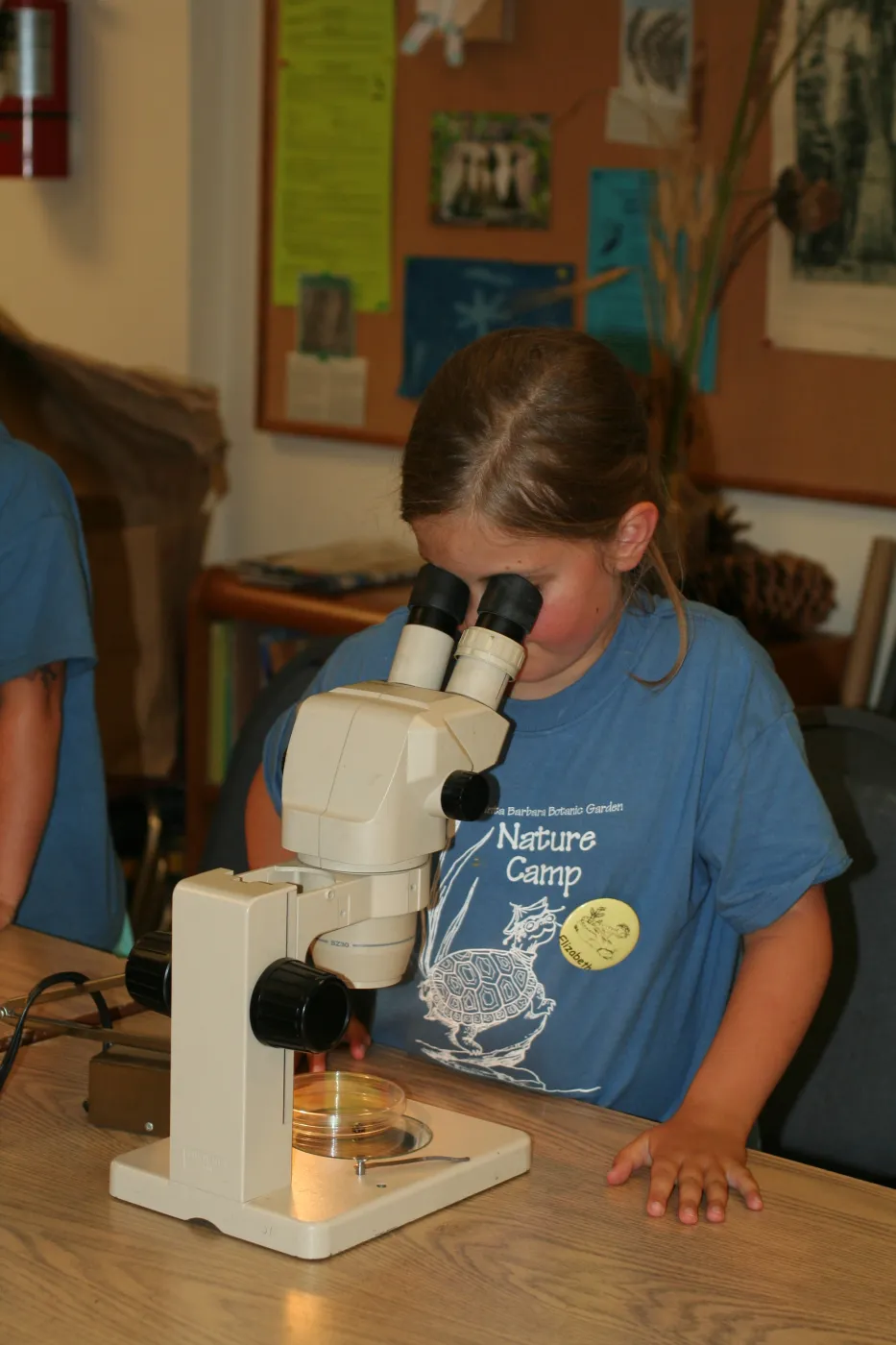 using microscopes in the Arroyo Room, SBBG Summer Nature Camp, 2006