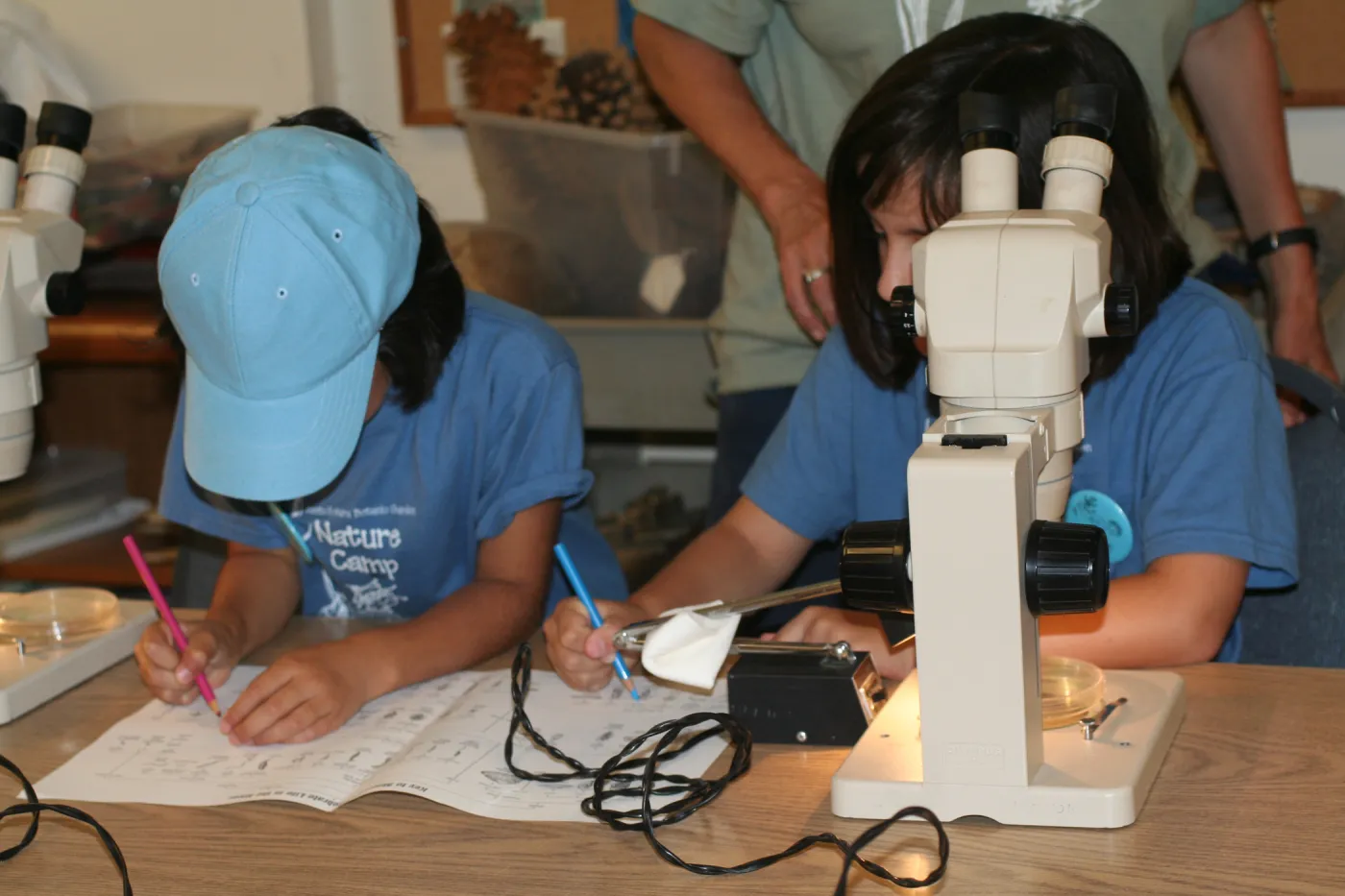 using microscopes in the Arroyo Room, SBBG Summer Nature Camp, 2007