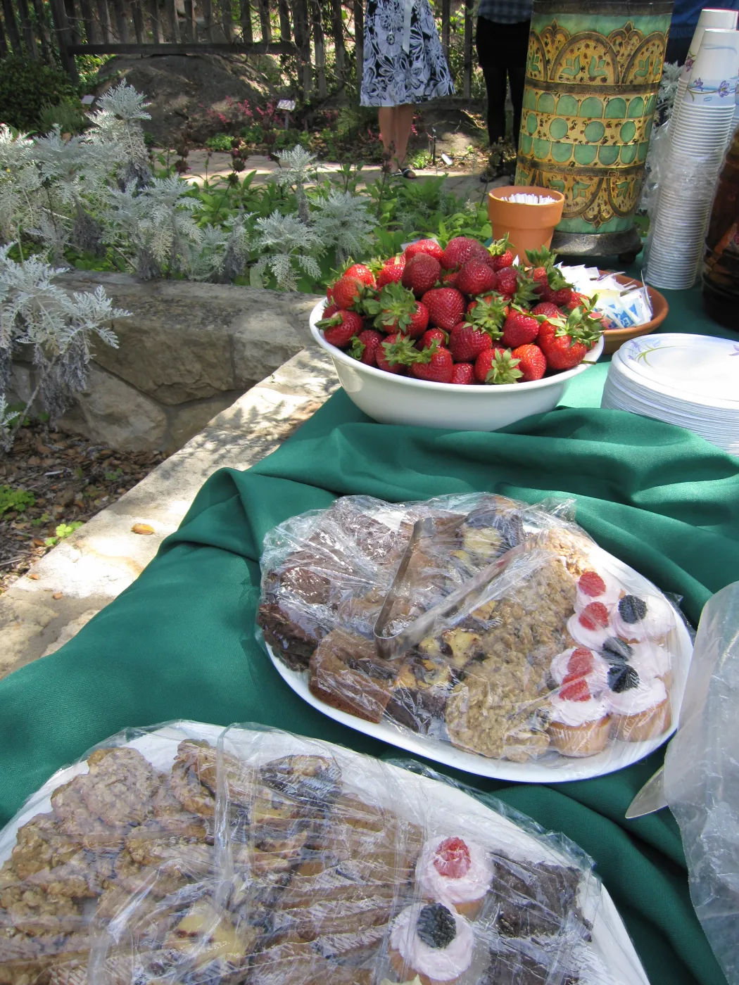 dessert table (all desserts catered by SBG staff), SBBG Volunteer Luncheon, 2011
