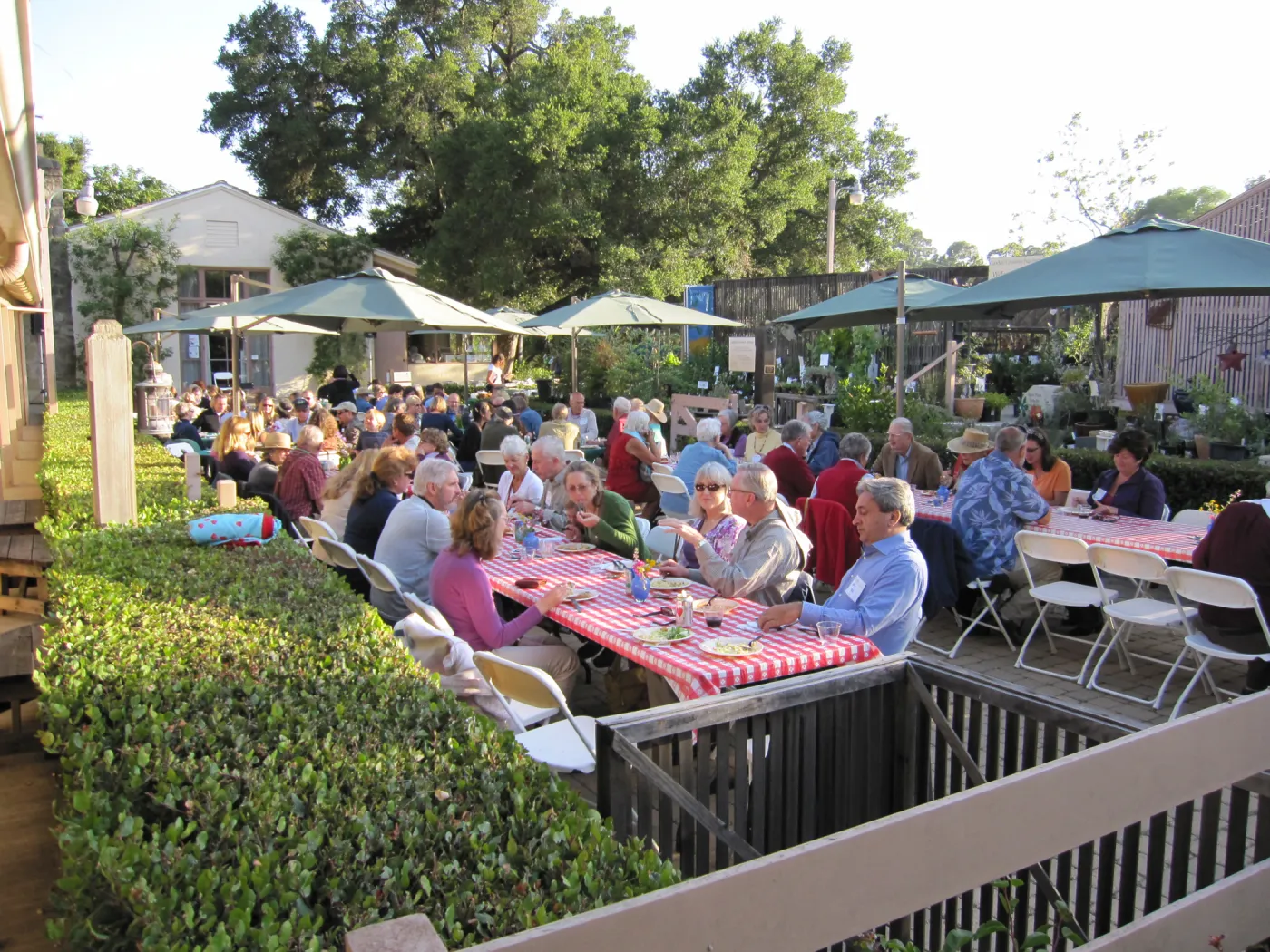 picnic tables in the Courtyard, SBBG Members Picnic, 2011