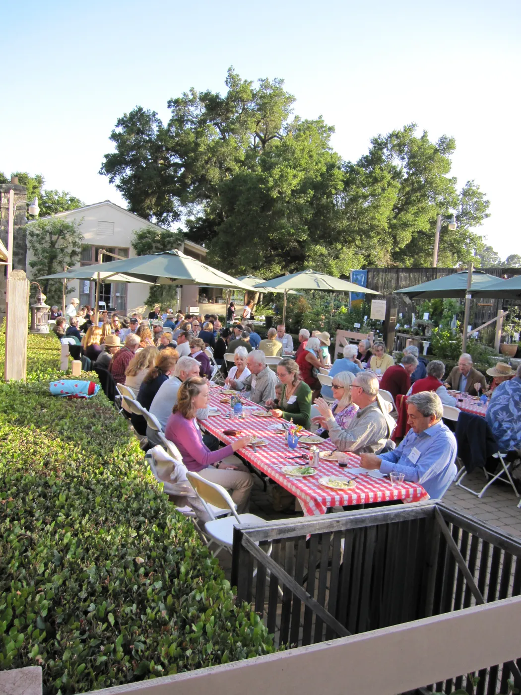 picnic tables in the Courtyard, SBBG Members Picnic, 2011