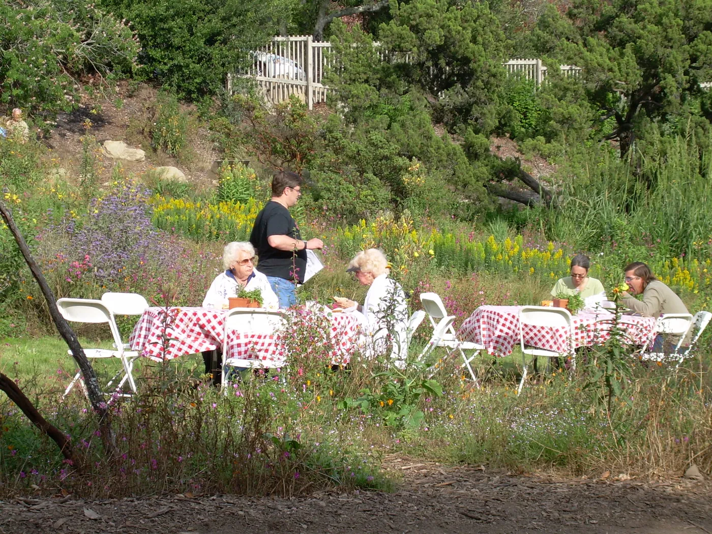 SBBG Members Picnic, 2009