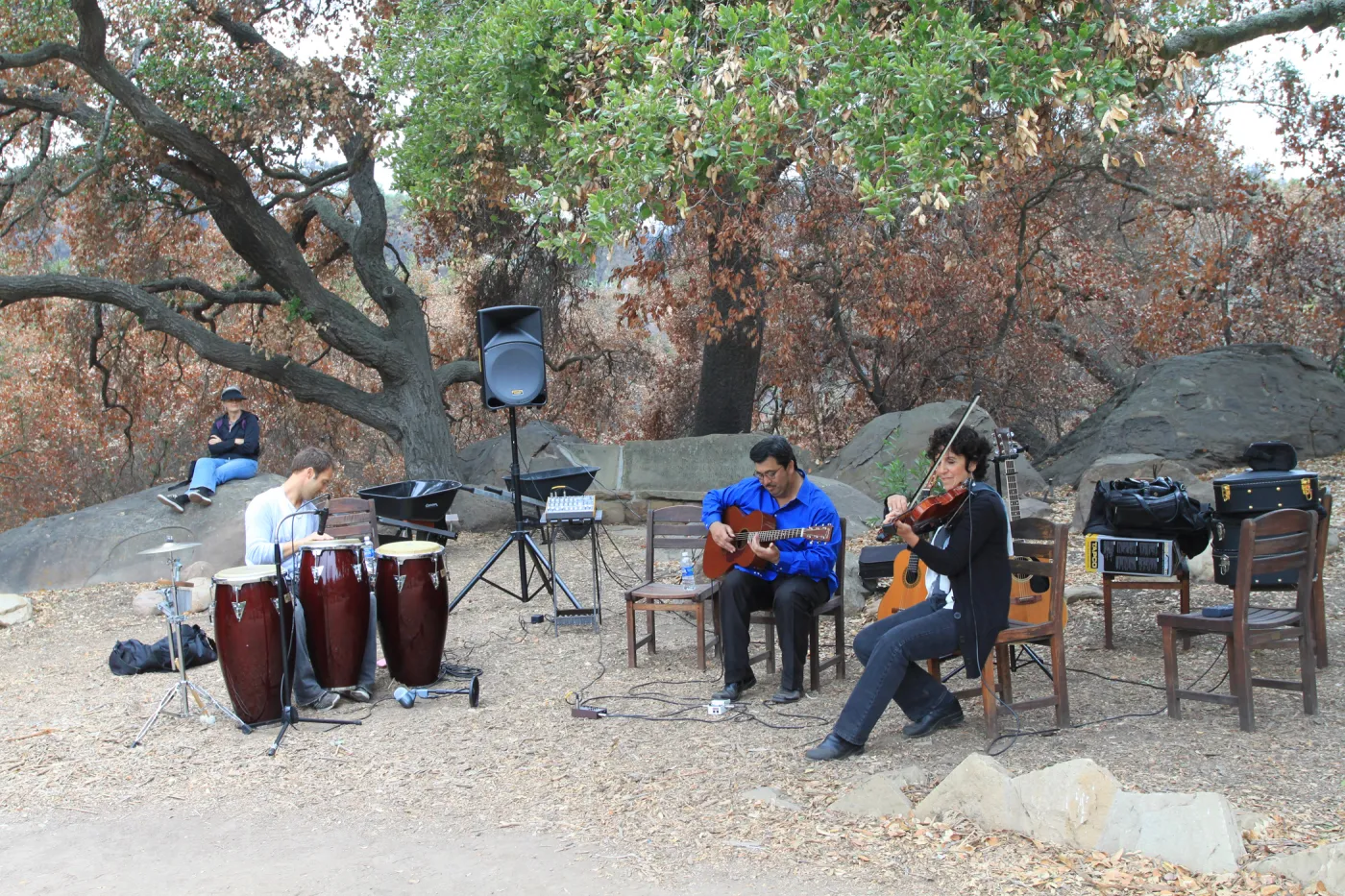 musicians, Art from the Ashes event, SBBG