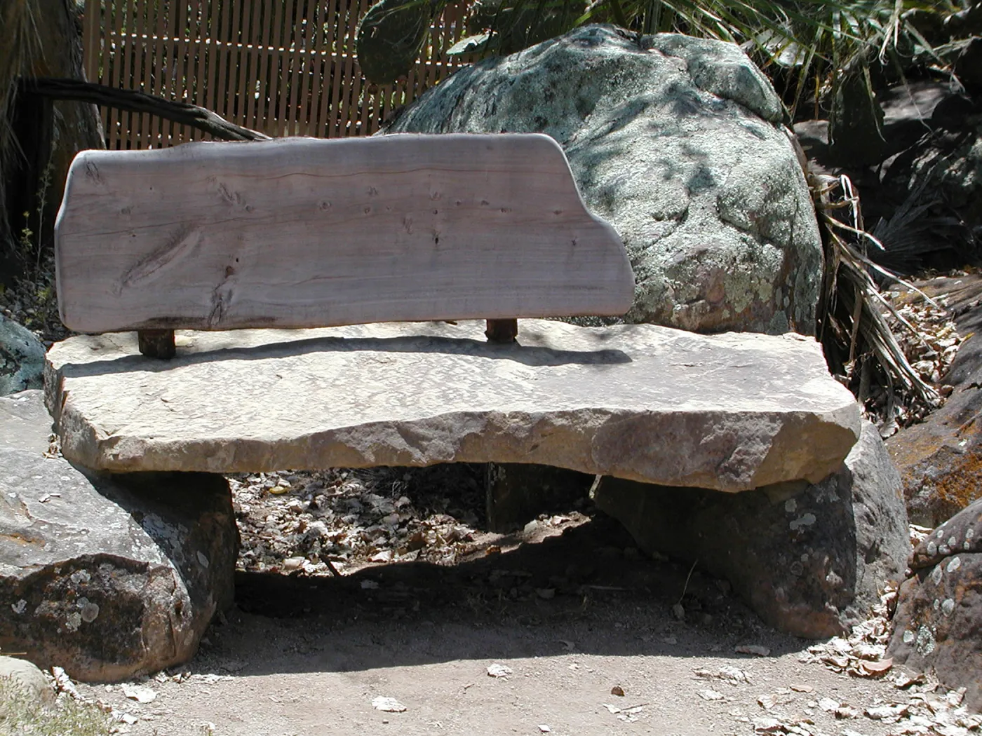 wood bench in the Desert Section, SBBG