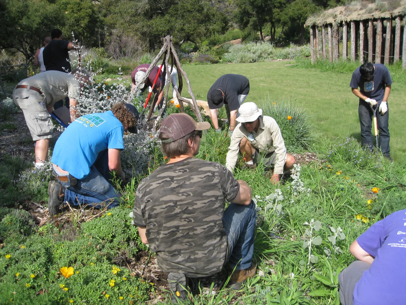 SB City College volunteers
