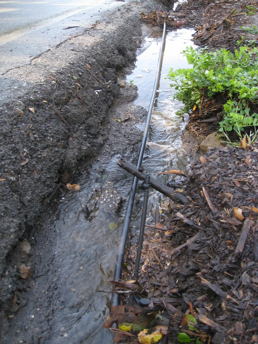 Erosion caused by heavy rain in the Tunnel Triangle