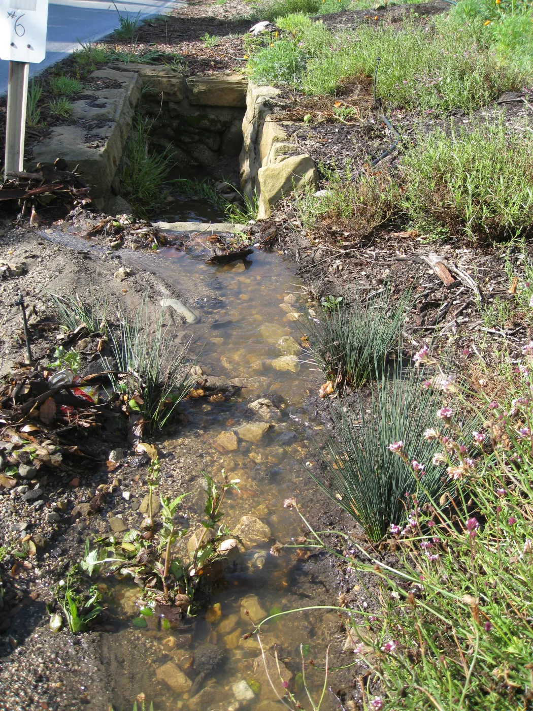 Erosion caused by heavy rain in the Tunnel Triangle