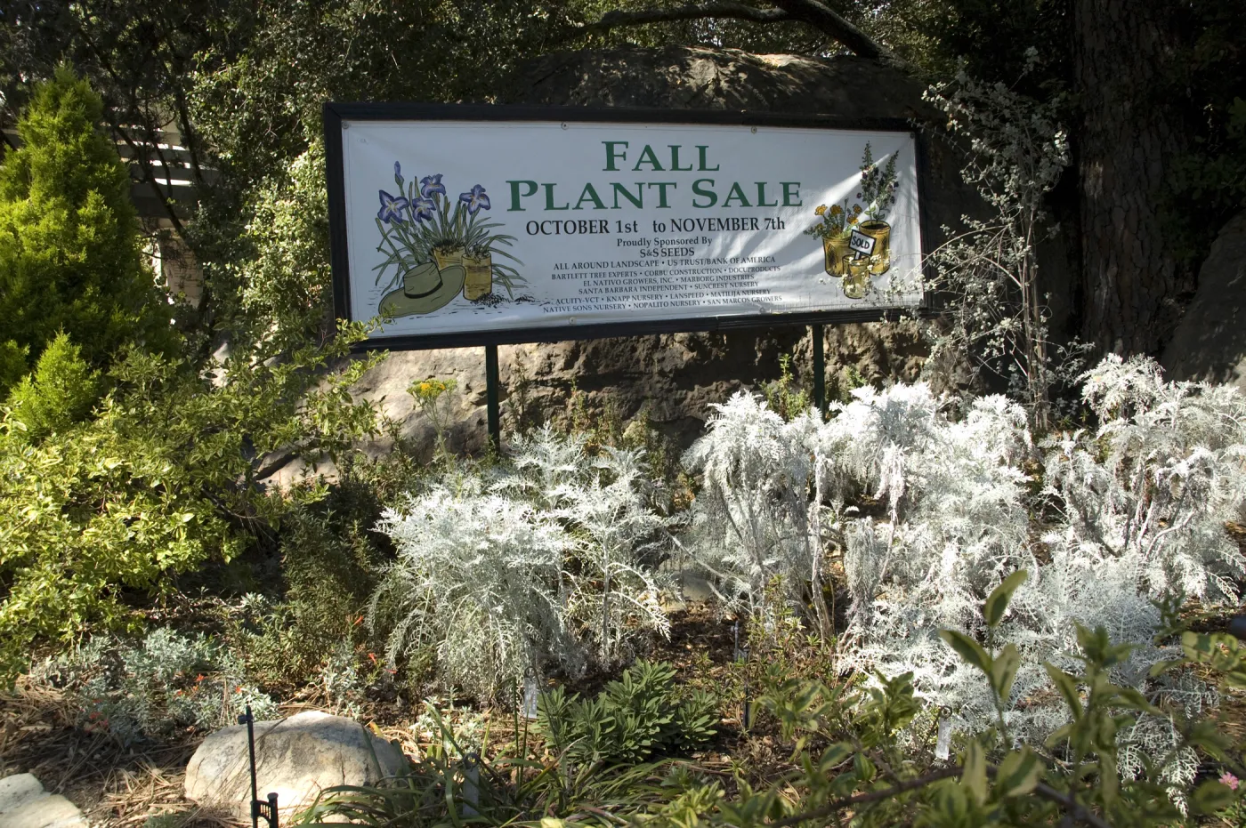 banner at Entrance boulder, SBBG Fall Plant Sale, 2010