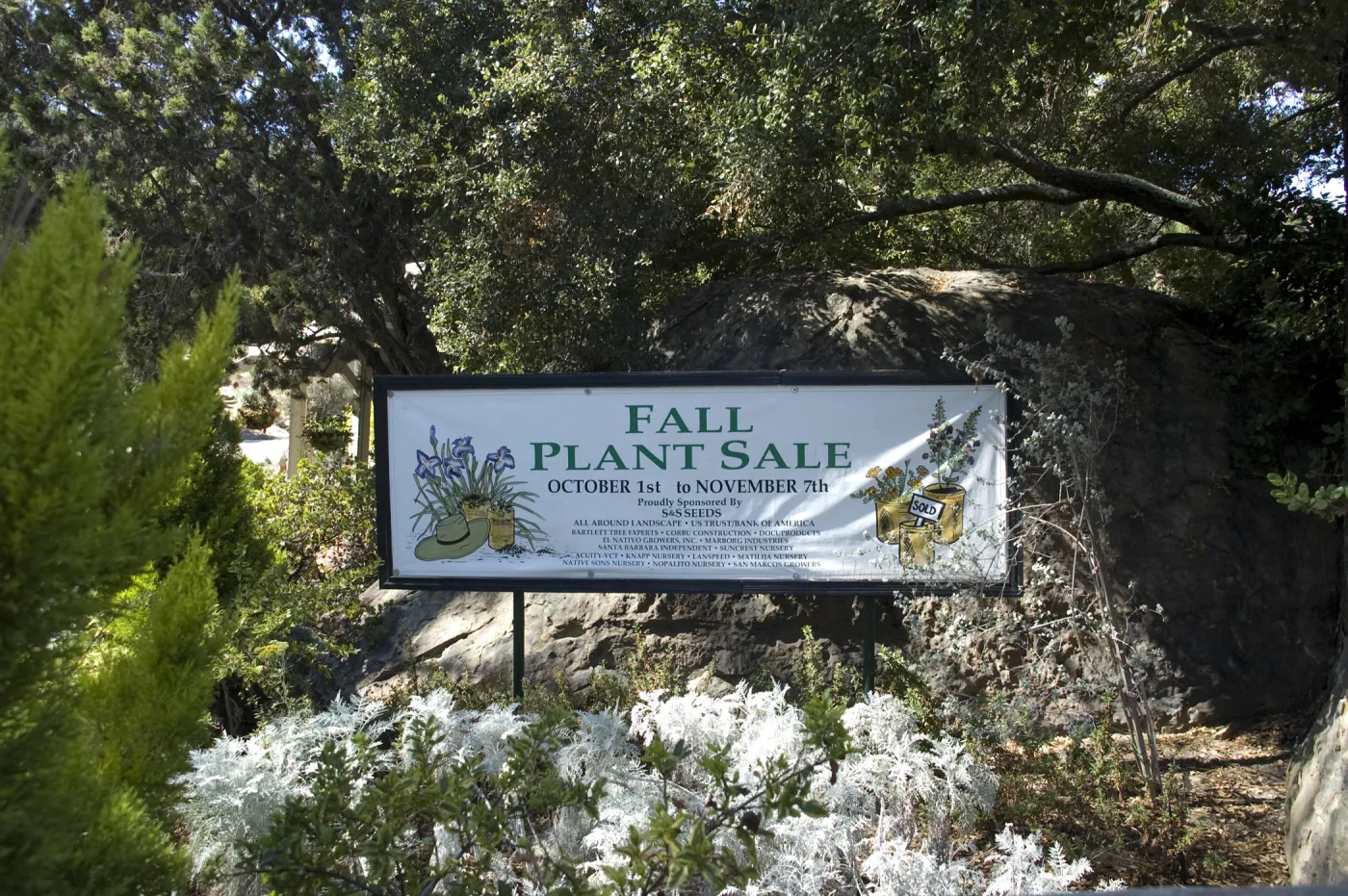 banner at Entrance boulder, SBBG Fall Plant Sale, 2010