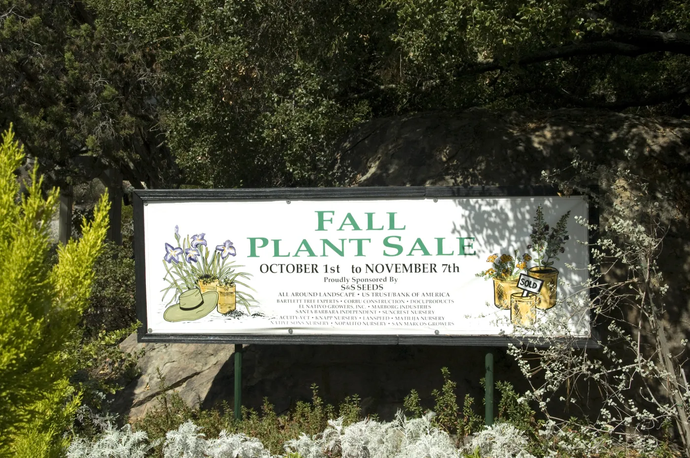 banner at Entrance boulder, SBBG Fall Plant Sale, 2010