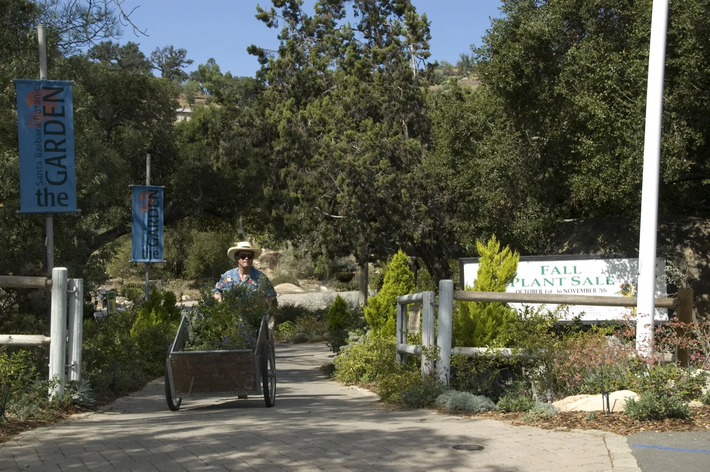 Garden Entrance gate, visitors leaving with plants, SBBG Fall Plant Sale, 2010