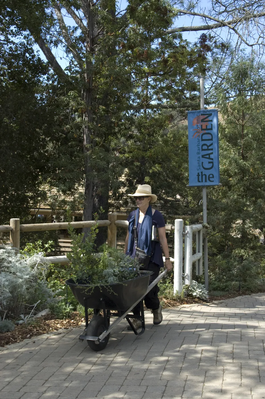 Garden Entrance gate, visitors leaving with plants, SBBG Fall Plant Sale, 2010
