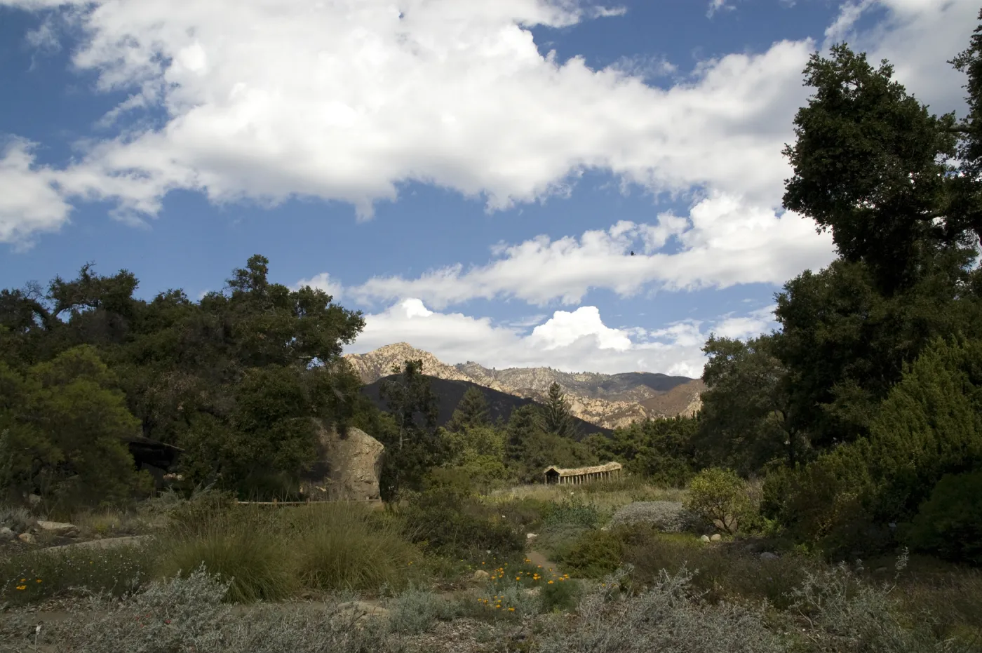 meadow and mountain view from the Entrance oak, clouds, Herb Parker exhibit, 2010