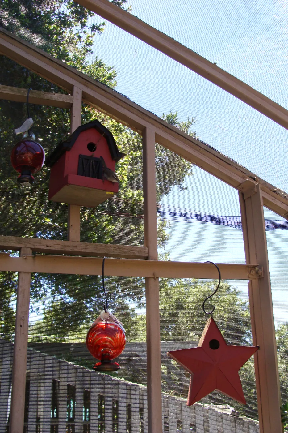SBBG, Spring Plant Sale 2011, birds nesting in the Garden Growers Nursery bird house