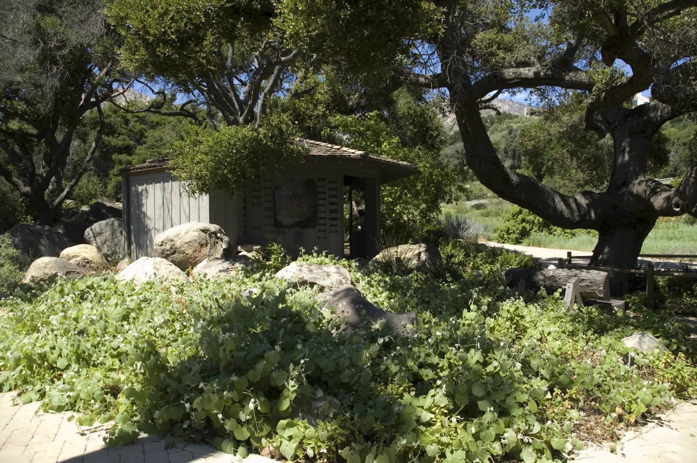 Information Kiosk, SBBG, 2 years after the Jesusita Fire