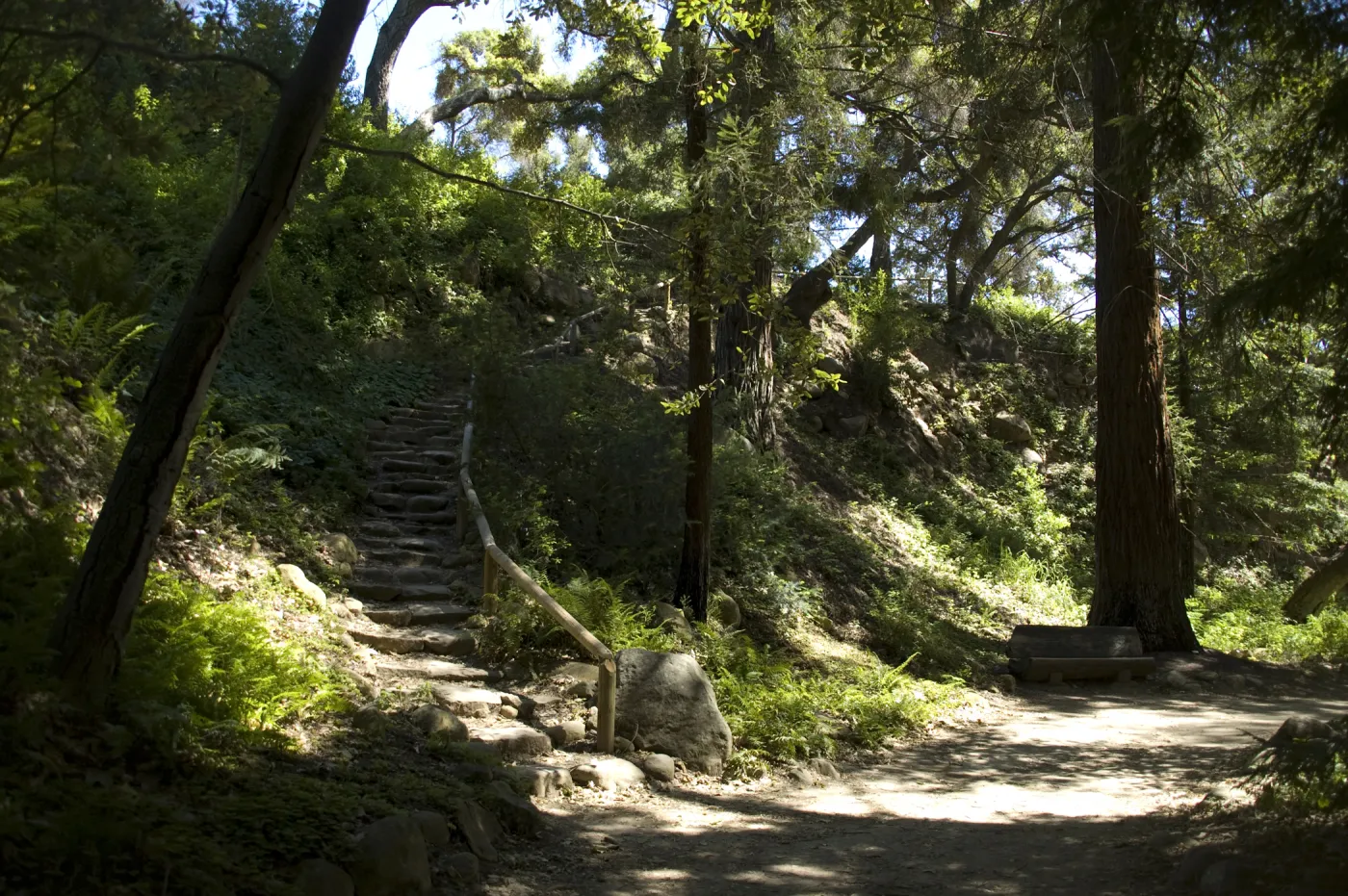 Indian Steps, Redwood Section, SBBG, 2 years after the Jesusita Fire