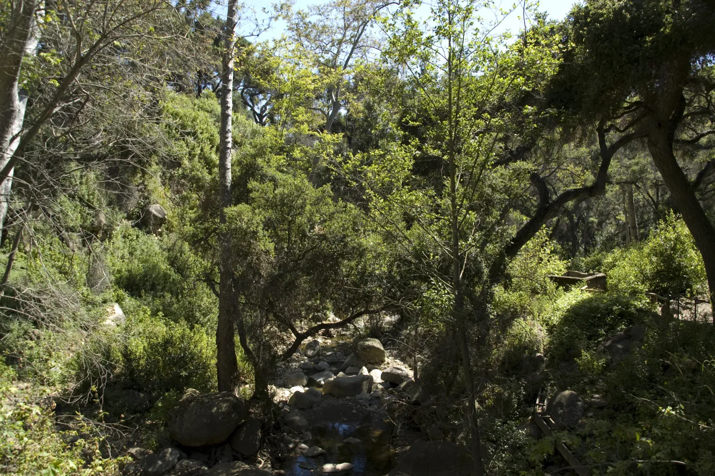 top of Mission Dam, SBBG, 2 years after the Jesusita Fire