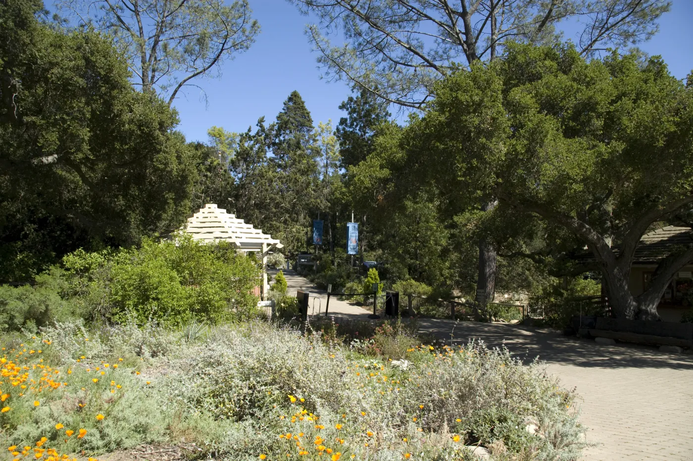 Garden entrance kiosk, SBBG, 2 years after the Jesusita Fire