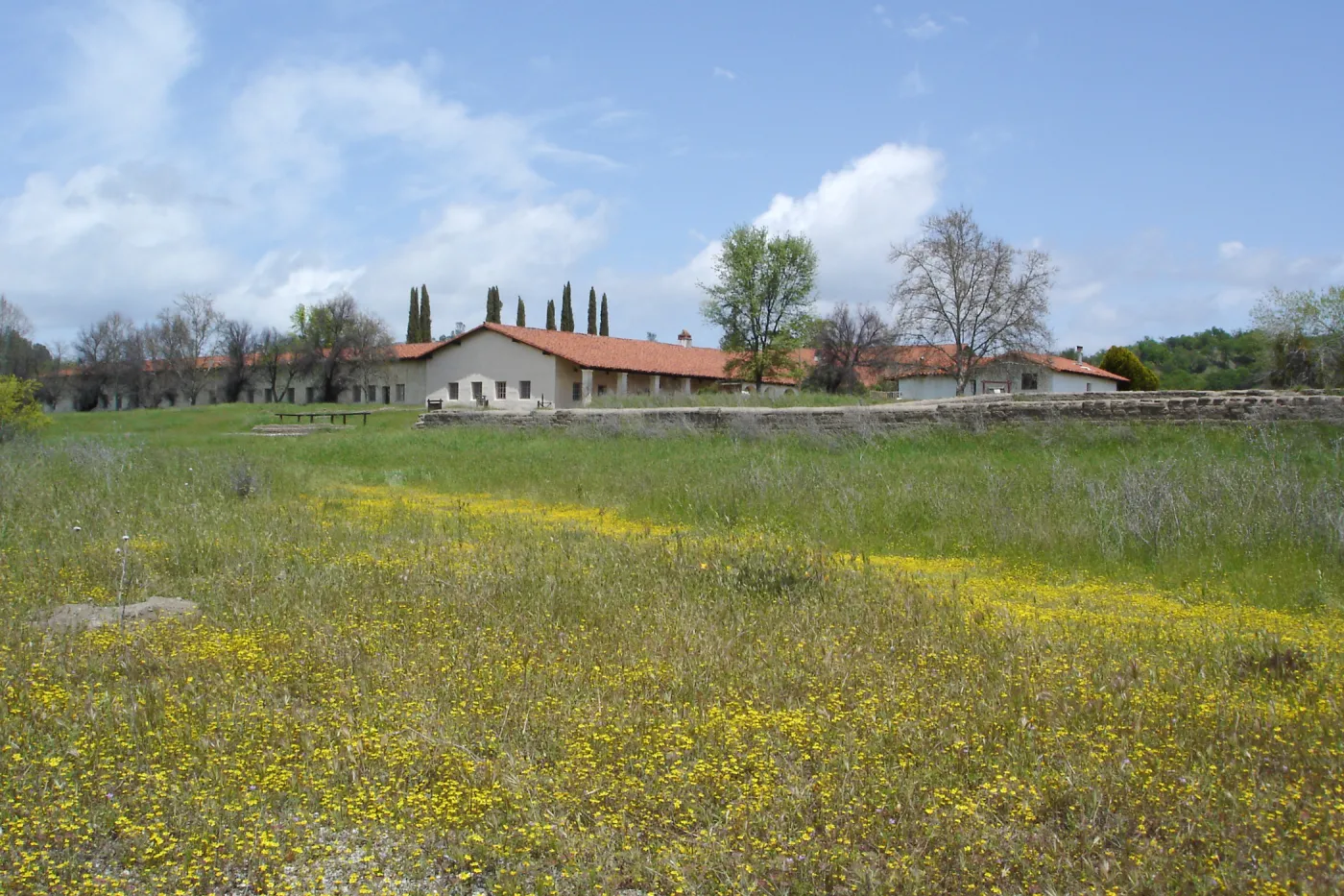 wildflowers, Mission San Antonio, Fort Hunter Liggett, SBBG Research and Conservation staff field trip, 2006