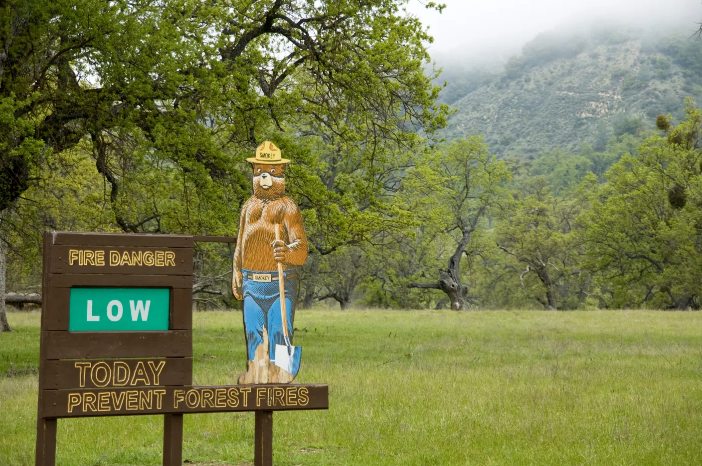 Los Padres National Forest, Smokey Bear, Fort Hunter Liggett, SBBG Research and Conservation staff field trip, 2006