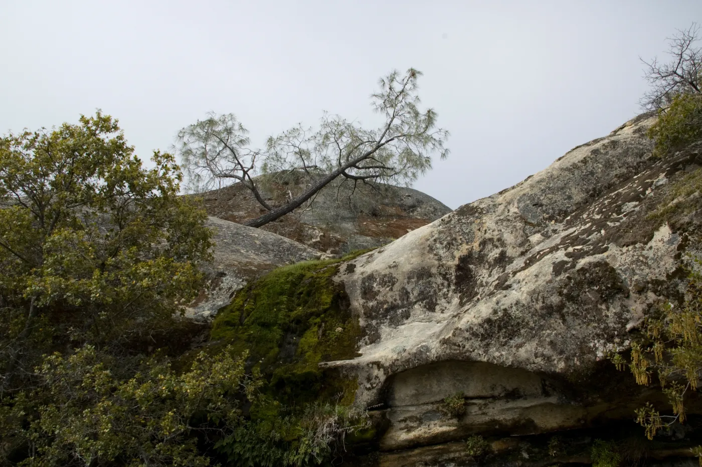 Wagon Caves rock shelter, Fort Hunter Liggett, SBBG Research and Conservation staff field trip, 2006