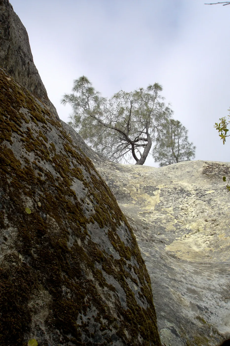 Wagon Caves rock shelter, Fort Hunter Liggett, SBBG Research and Conservation staff field trip, 2006