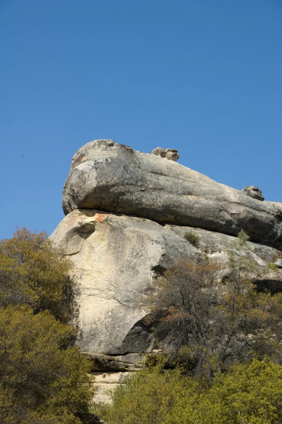 Wagon Caves rock shelter, Fort Hunter Liggett, SBBG Research and Conservation staff field trip, 2006