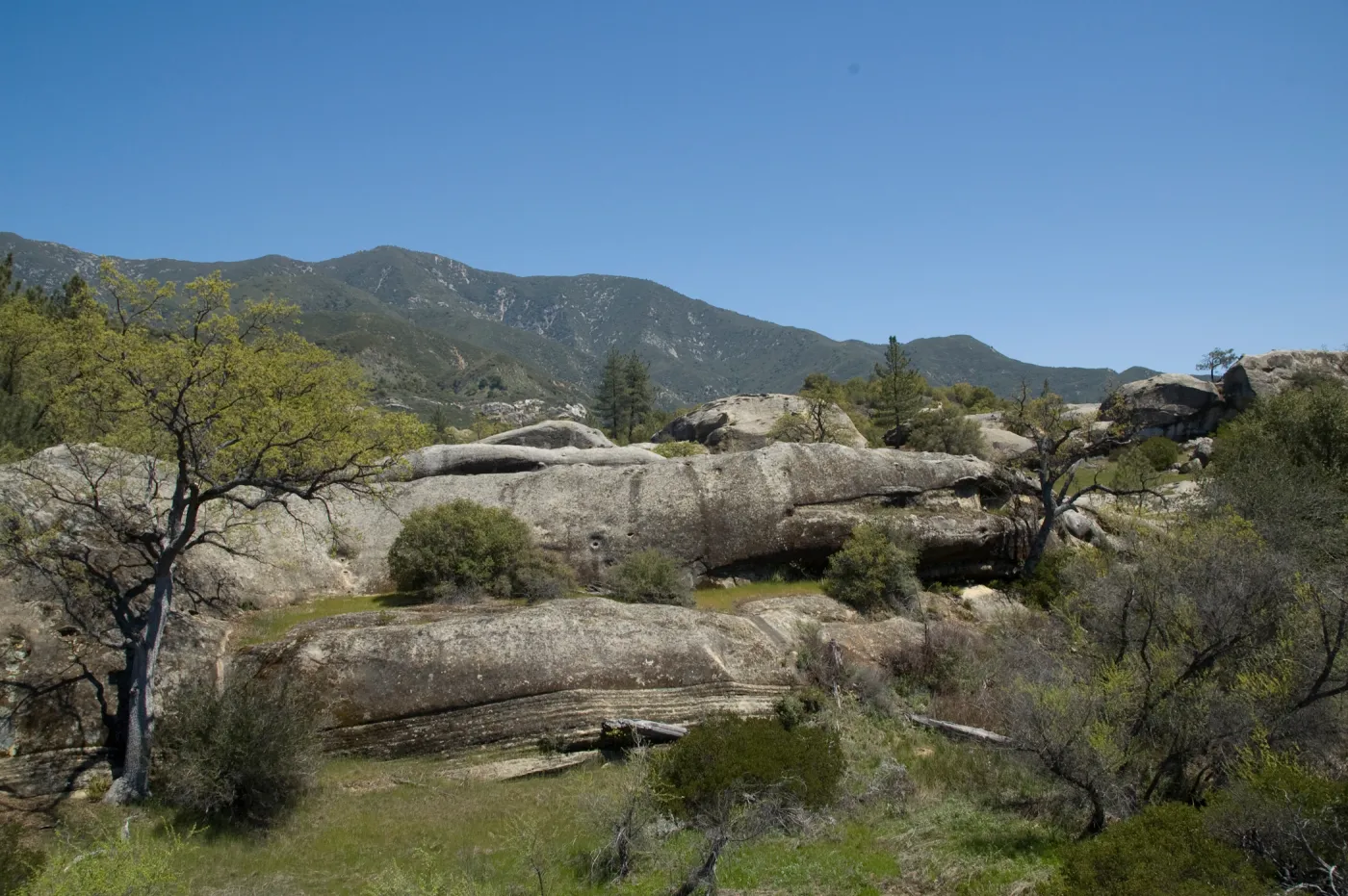 Santa Lucia Mountains, Fort Hunter Liggett, SBBG Research and Conservation staff field trip, 2006