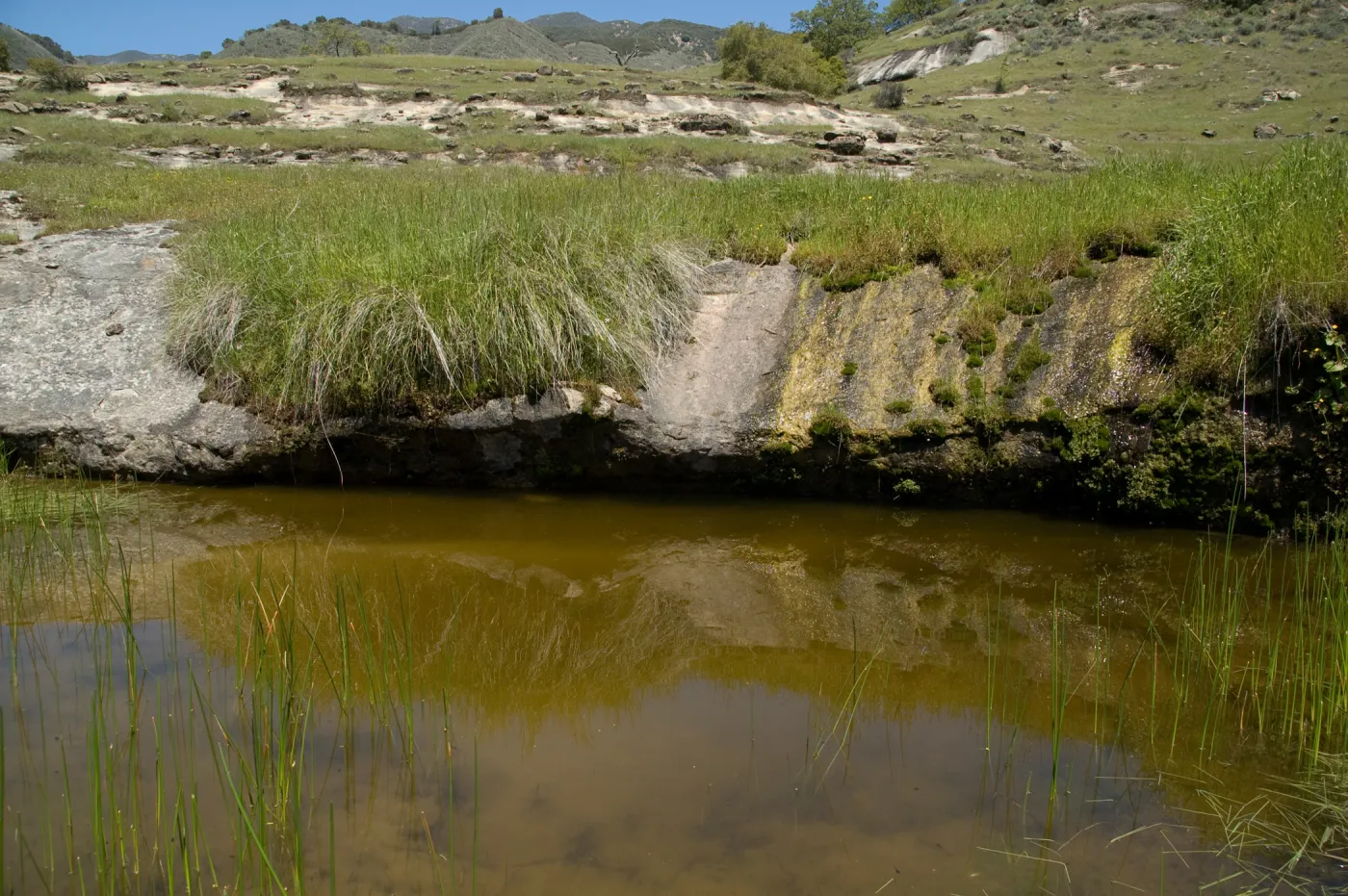 pond, Santa Lucia Mountains, Fort Hunter Liggett, SBBG Research and Conservation staff field trip, 2006