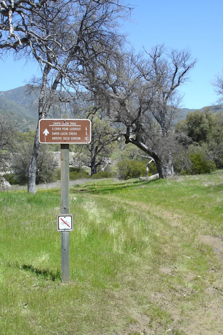 Santa Lucia Trail, Fort Hunter Liggett, SBBG Research and Conservation staff field trip, 2006