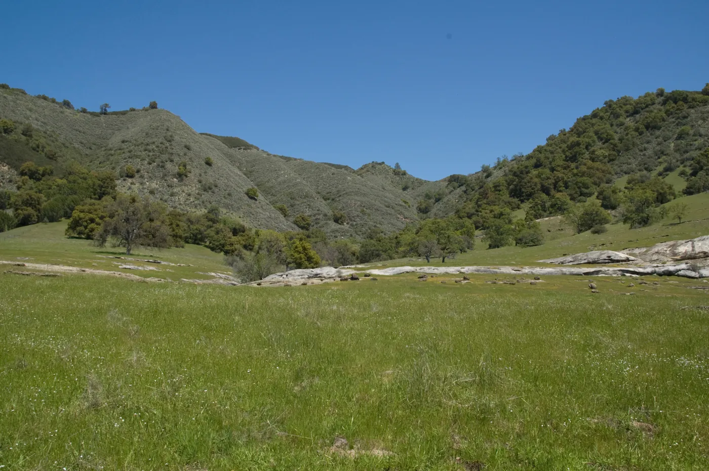 Santa Lucia Trail, Santa Lucia Mountains, SBBG Research and Conservation staff field trip, Fort Hunter Liggett, 2006