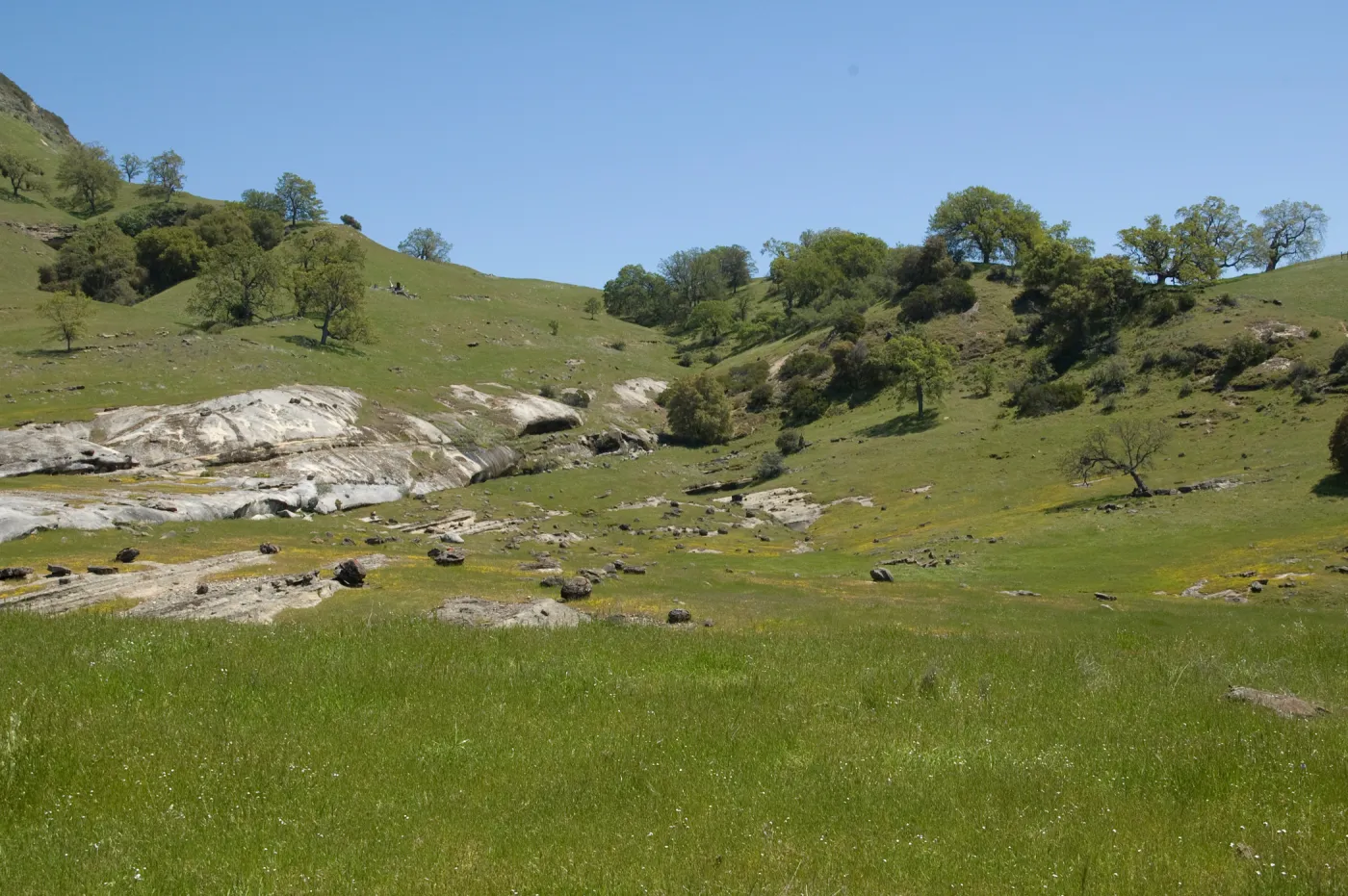 Santa Lucia Trail, Santa Lucia Mountains, SBBG Research and Conservation staff field trip, Fort Hunter Liggett, 2006