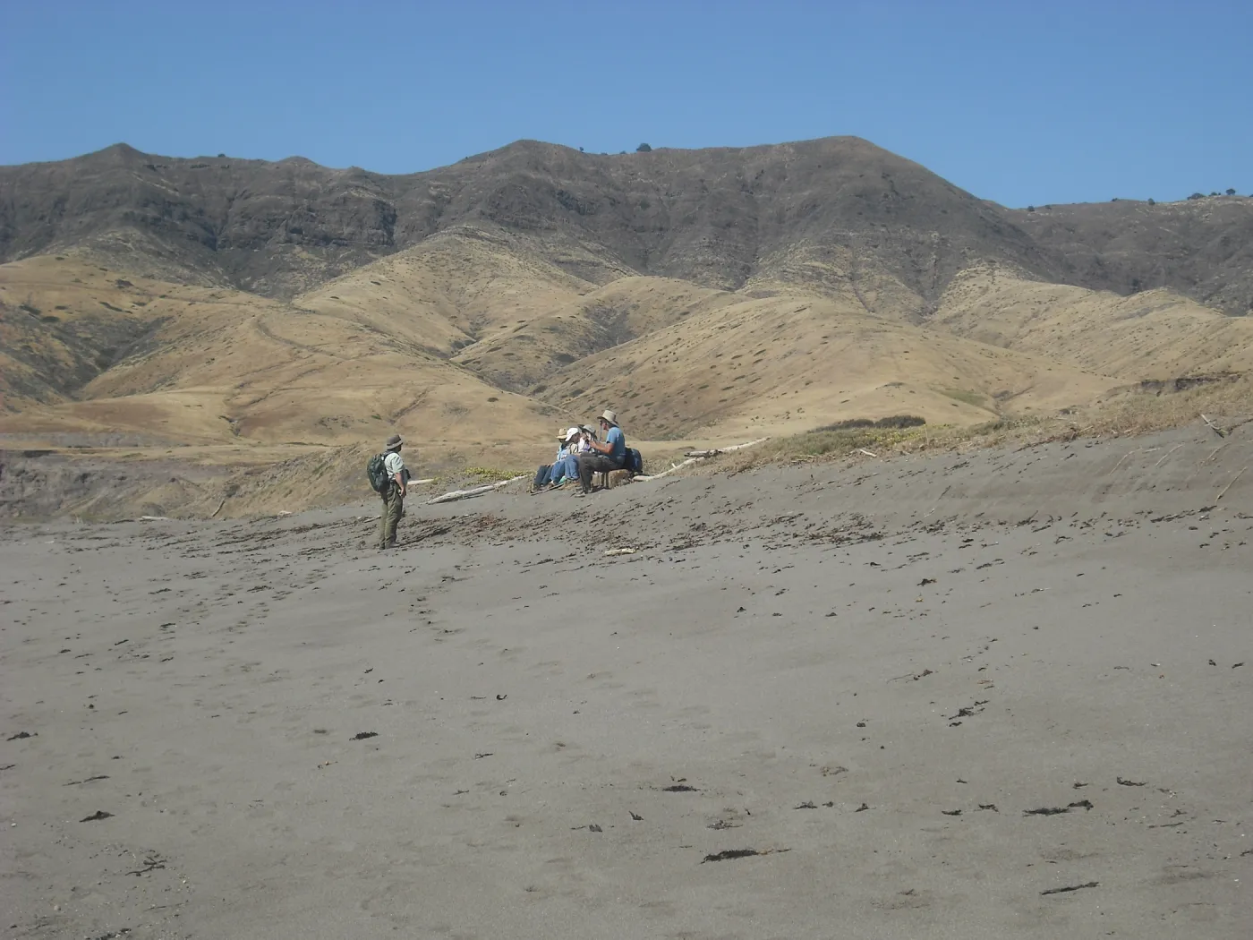 botanizing at Christy Beach, Steve Junak trip leader, SBBG Field Trip to Santa Cruz Island, 2011