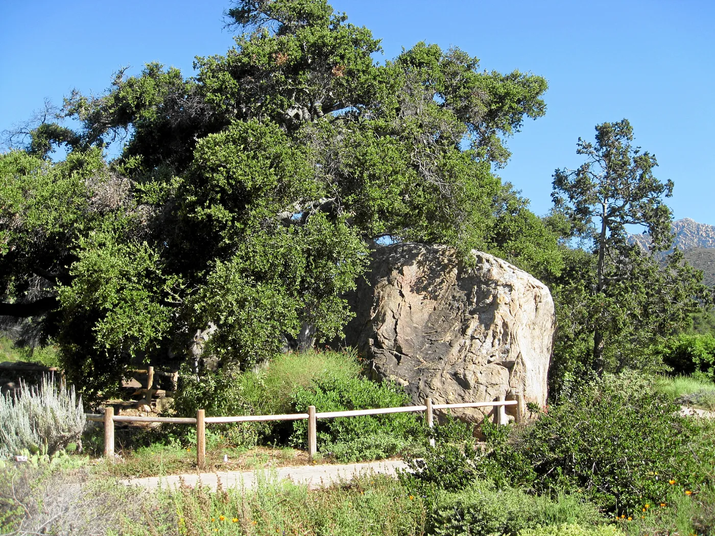 Blaksley boulder with fence