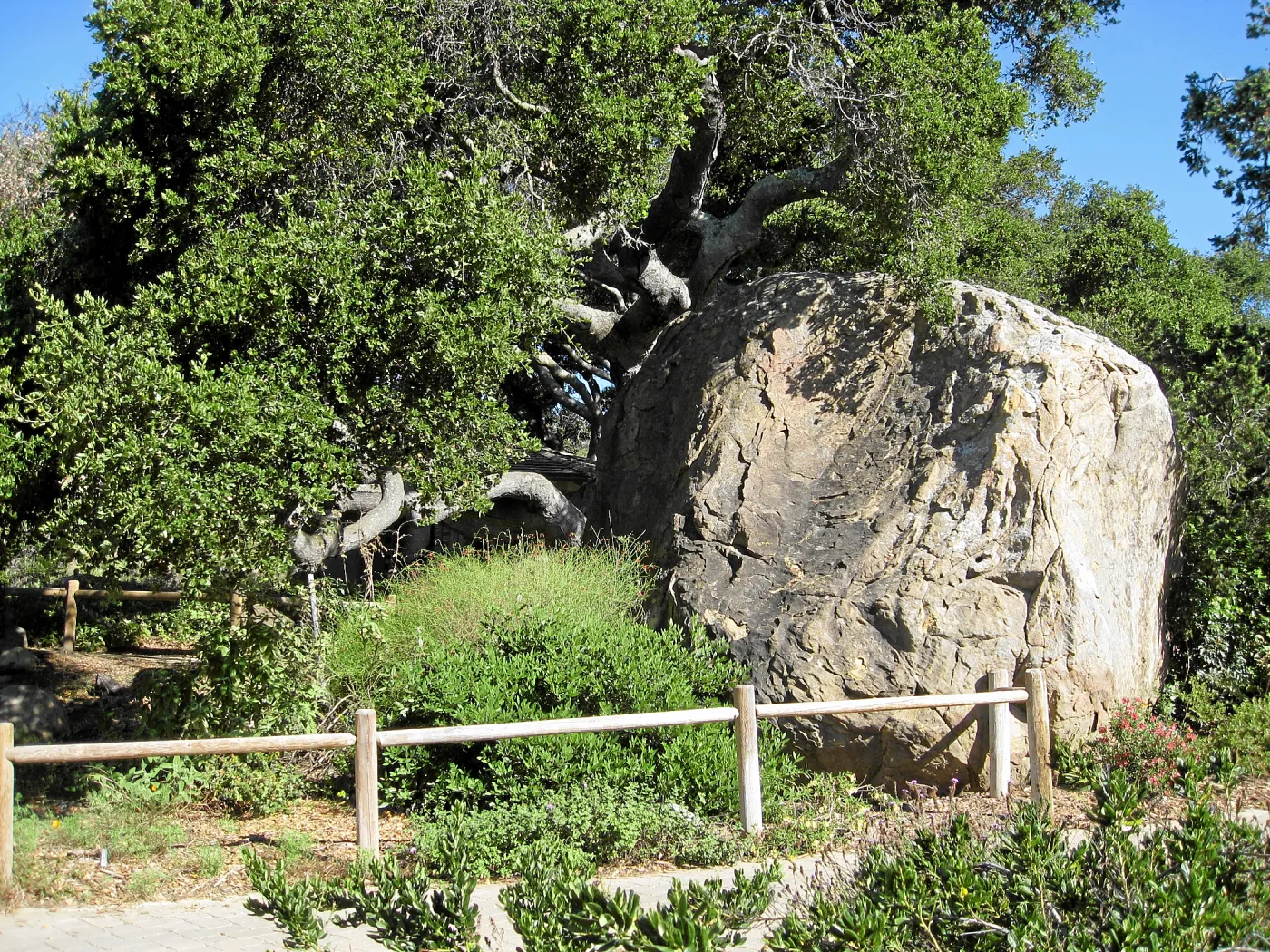Blaksley boulder with fence