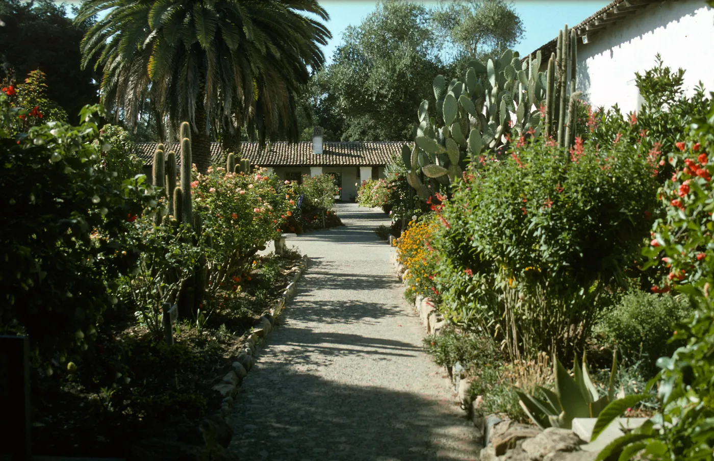 garden at Mission San Juan Bautista