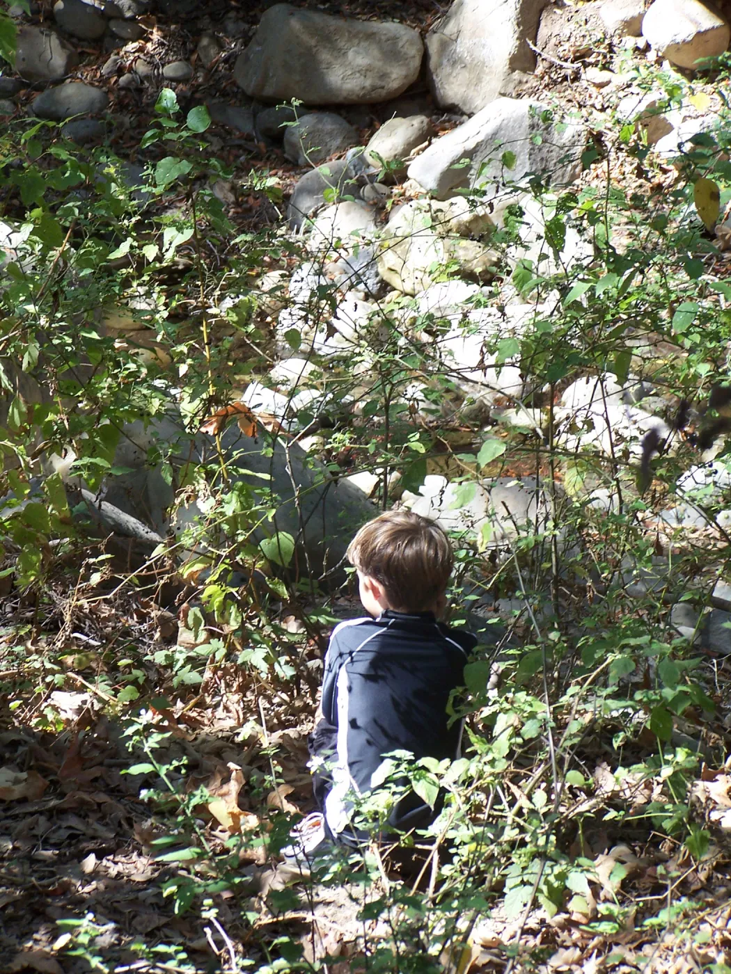SBBG Community Free Day, visitors exploring the Canyon Trail