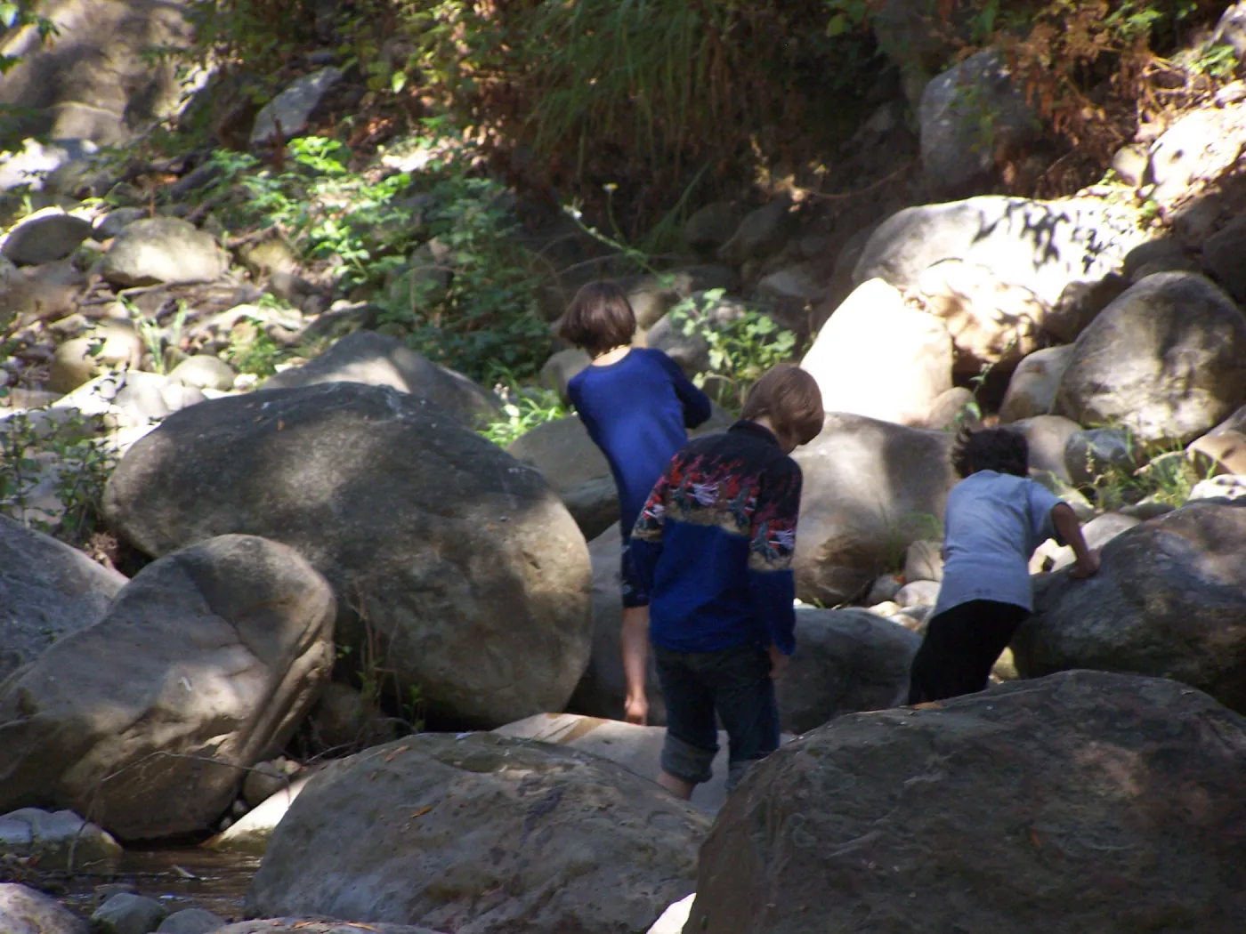 SBBG Community Free Day, visitors exploring Mission Creek
