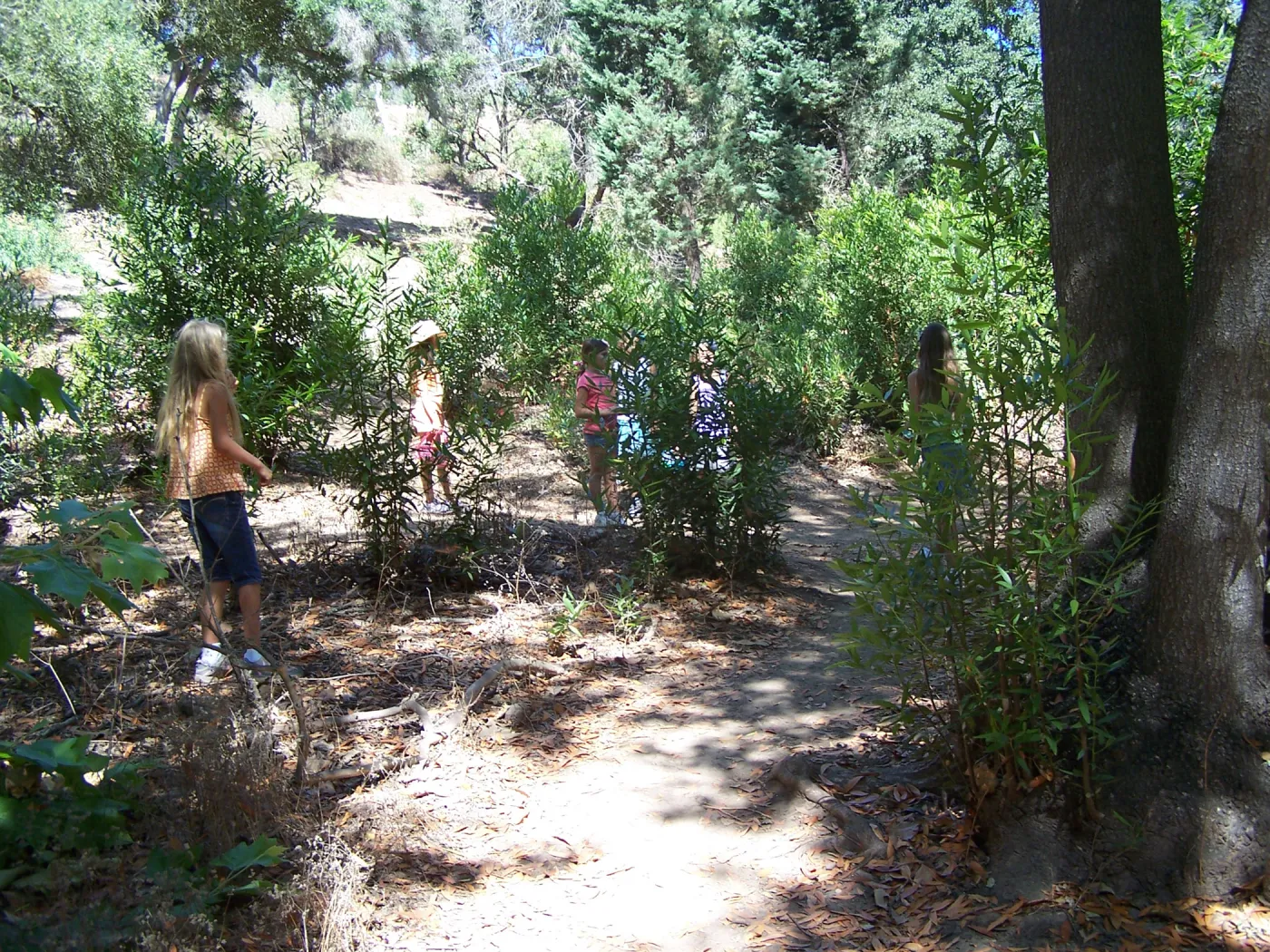 SBBG Community Free Day, children exploring Mission Creek