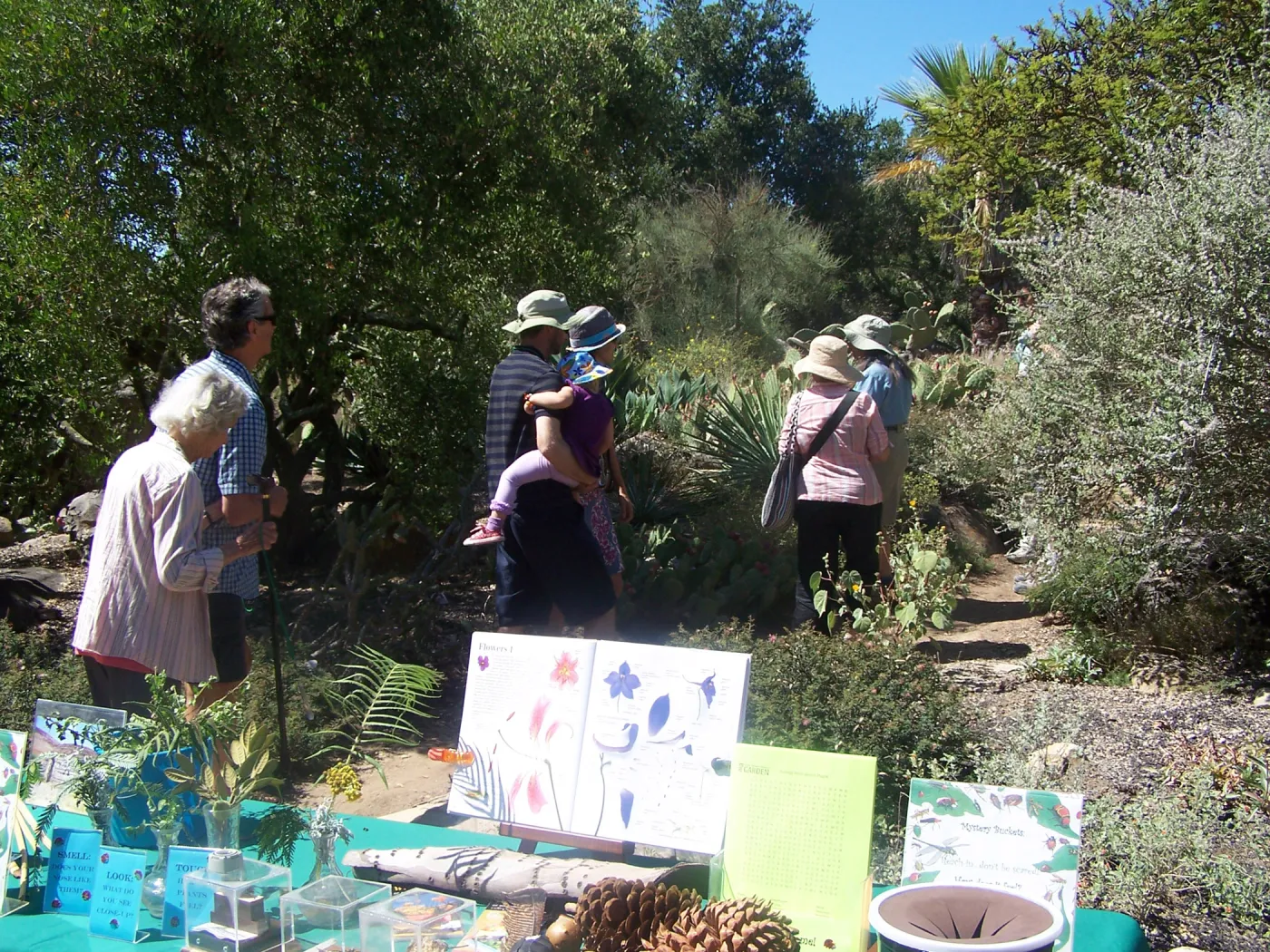 SBBG Community Free Day, Docent Tour