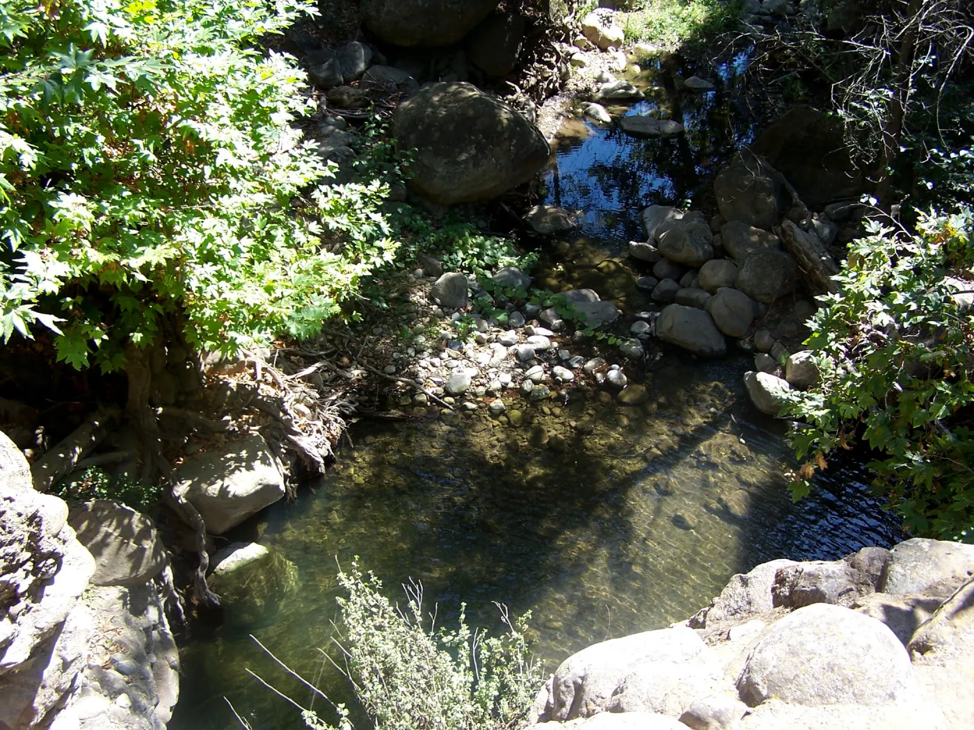 Mission Creek pool below the Mission dam, SBBG Community Free Day