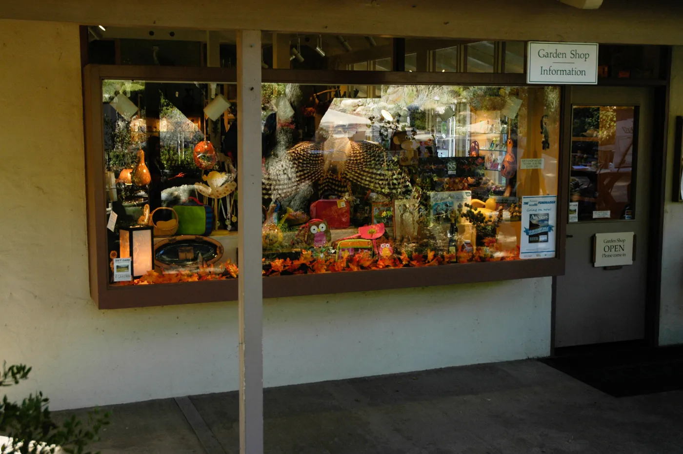 front window display at the gift shop, SBBG Community Free Day, October 16 2011