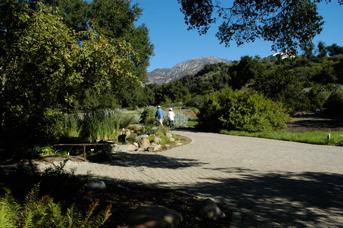 couple strolling along the Meadow and Meadow Pond, SBBG Community Free Day, October 16 2011