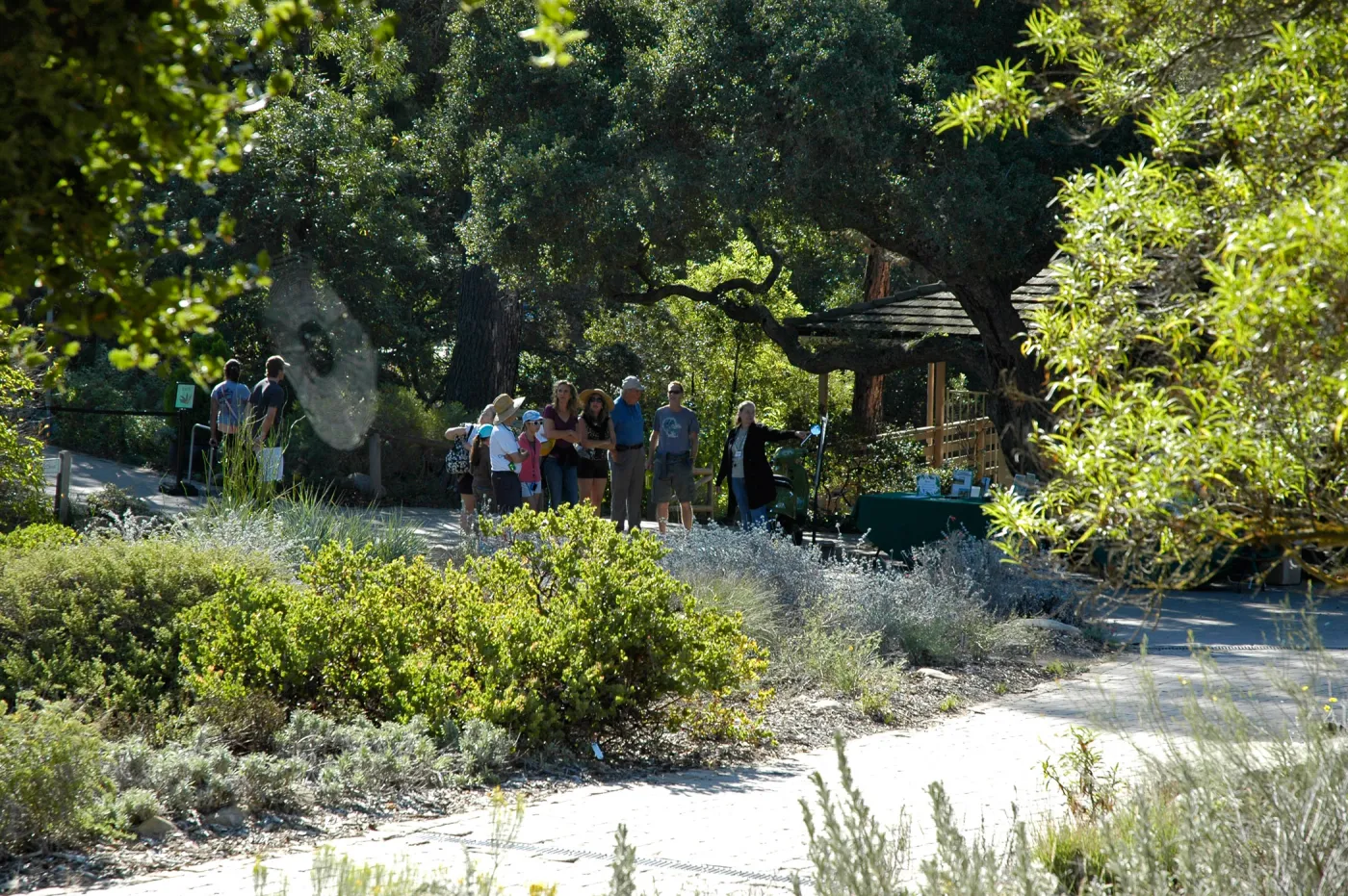 Joan Evans with visitors at the Garden Entrance, SBBG Community Free Day, October 16 2011