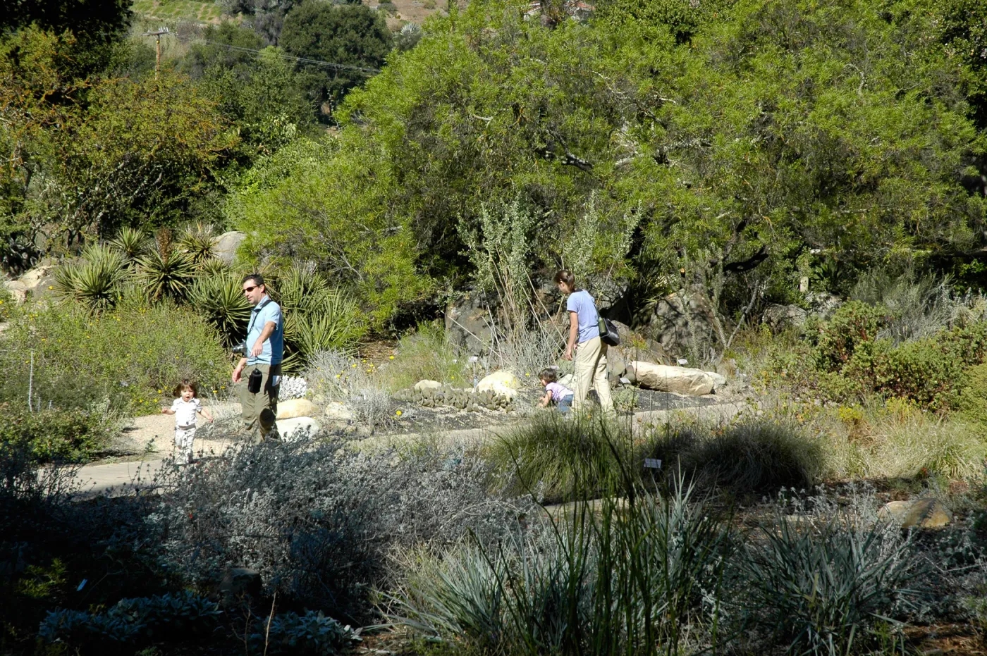 family strolling in the Garden, Desert Section, SBBG Community Free Day, October 16 2011