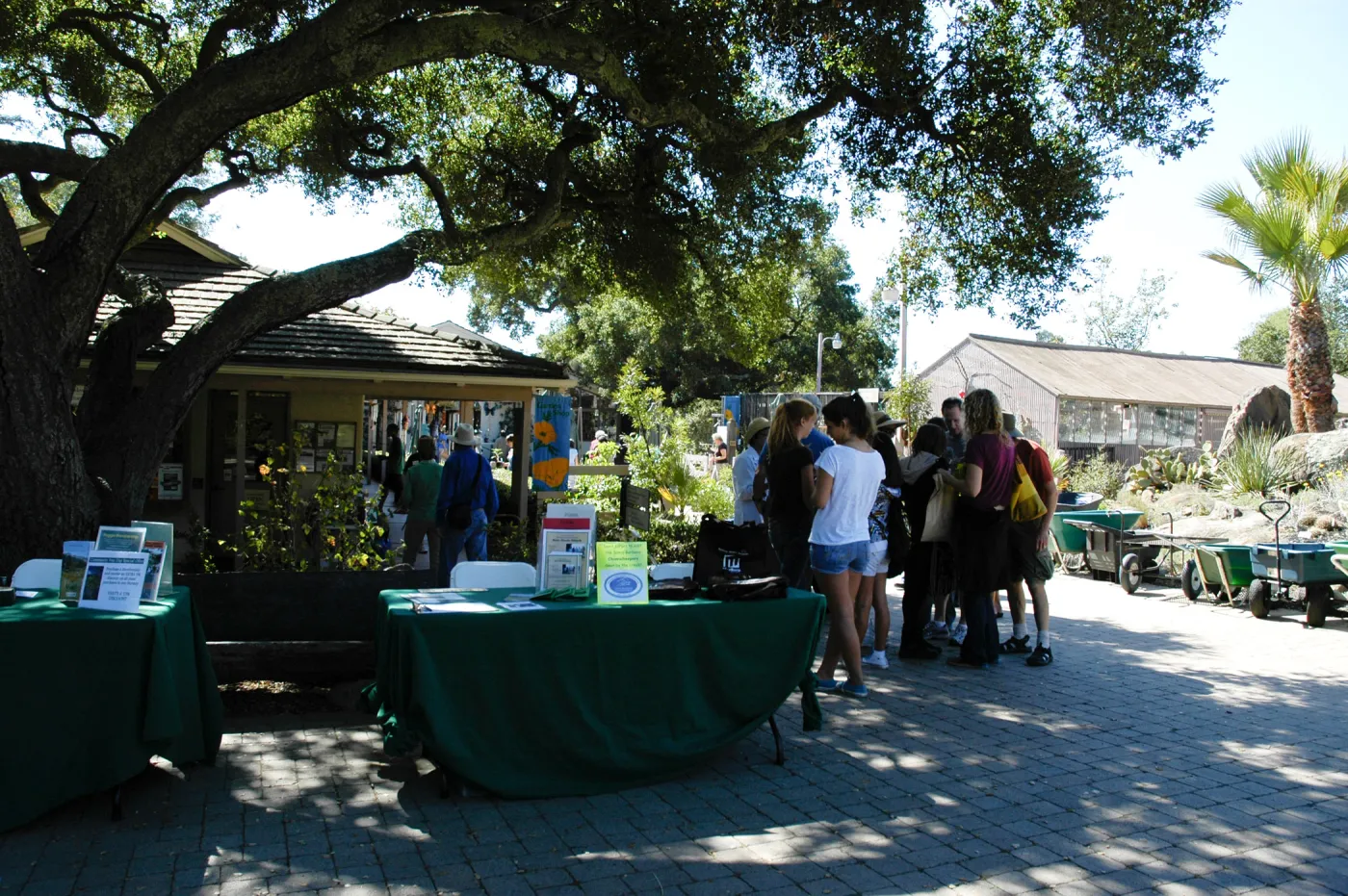 Master Gardener butterfly demonstration table, SBBG Community Free Day, October 16 2011