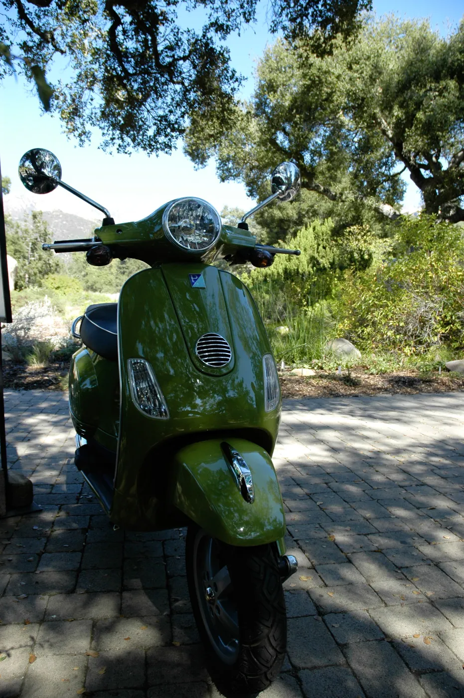 Vespa raffle, SBBG Community Free Day, October 16 2011