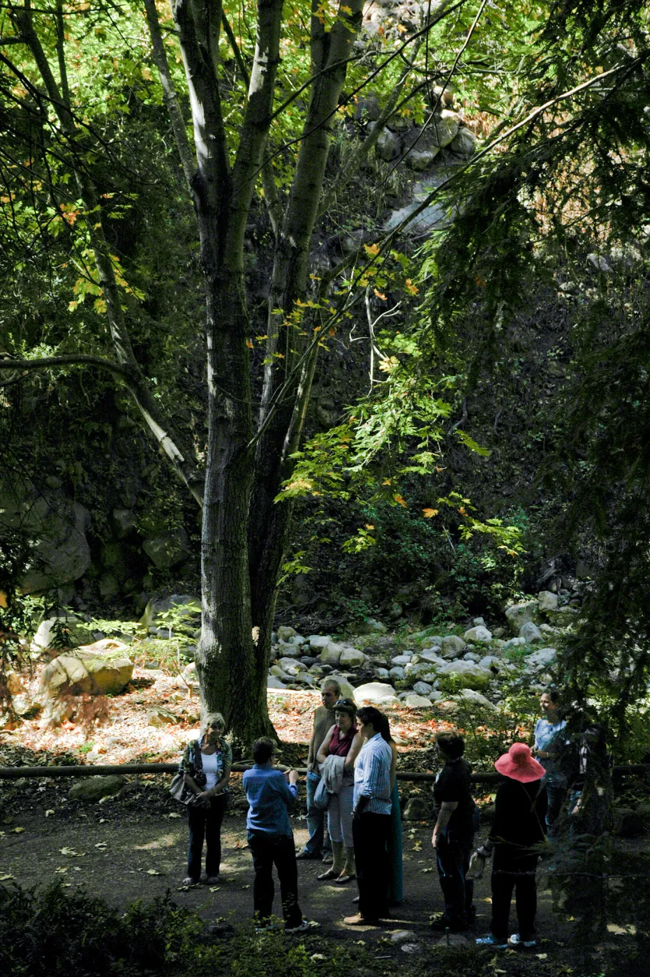 Docent tour in the Redwood Section, Community Free Day, October 2011