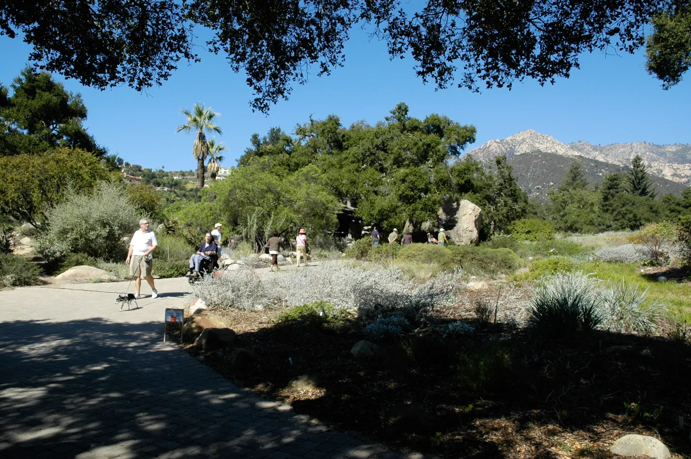 visitors in the Garden, Community Free Day, October 2011