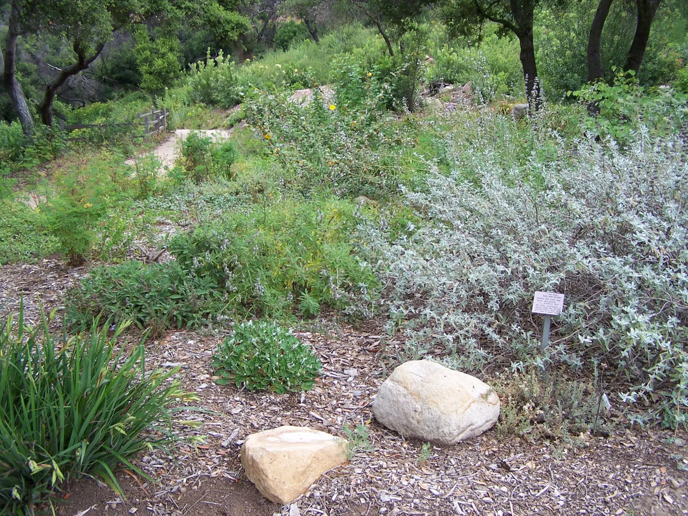Meadow View planting area